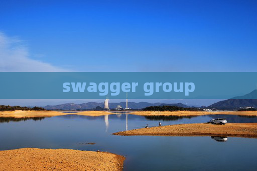 swagger group swagger group